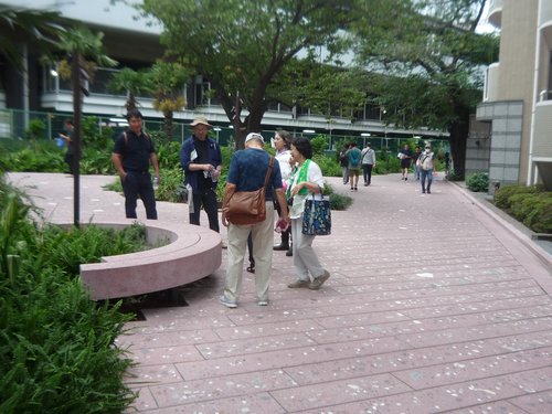 写真２　整備という名の玉川上水跡改変（笹塚駅付近）