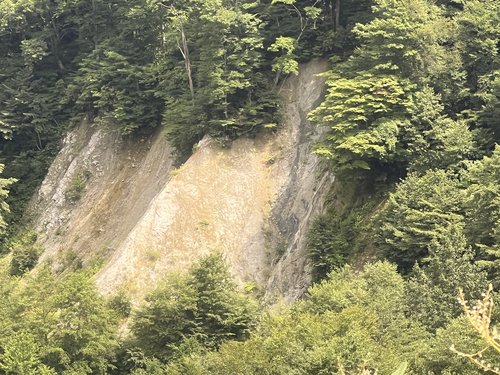 写真２　跡津川断層真川大露頭