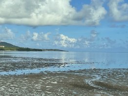 西表島